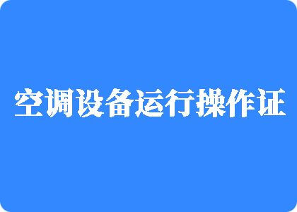 想鸡巴操我的逼了制冷工证